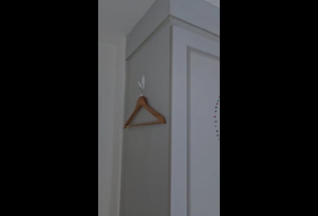 Video 1: