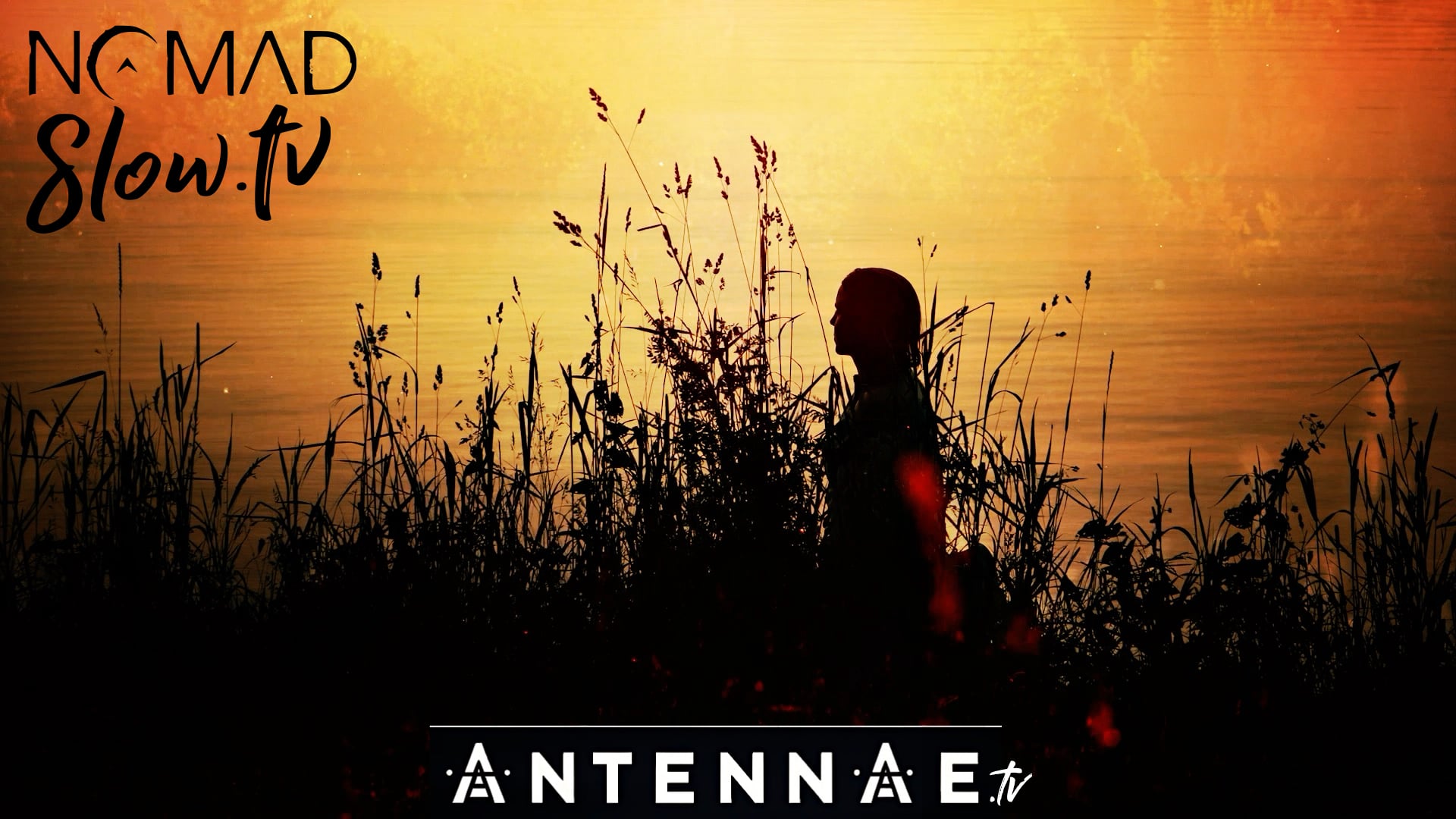 ANTENNAE Moonscapes - 11 - Harvest Moon - Seeds