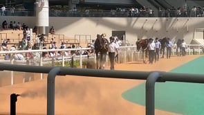 動画サムネイル