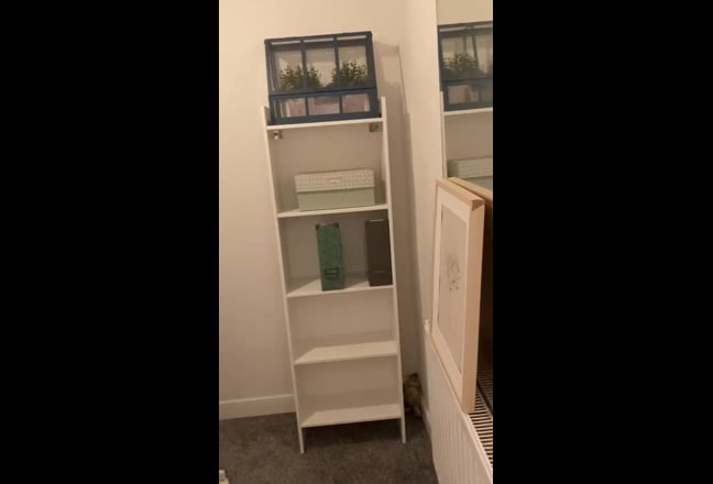 Lovely room with additional office in quiet house. Main Photo