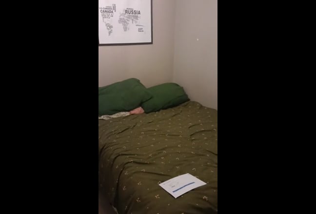 One room available in 3 bedroom friendly apartment Main Photo