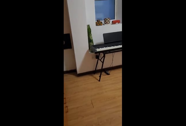 Video 1: