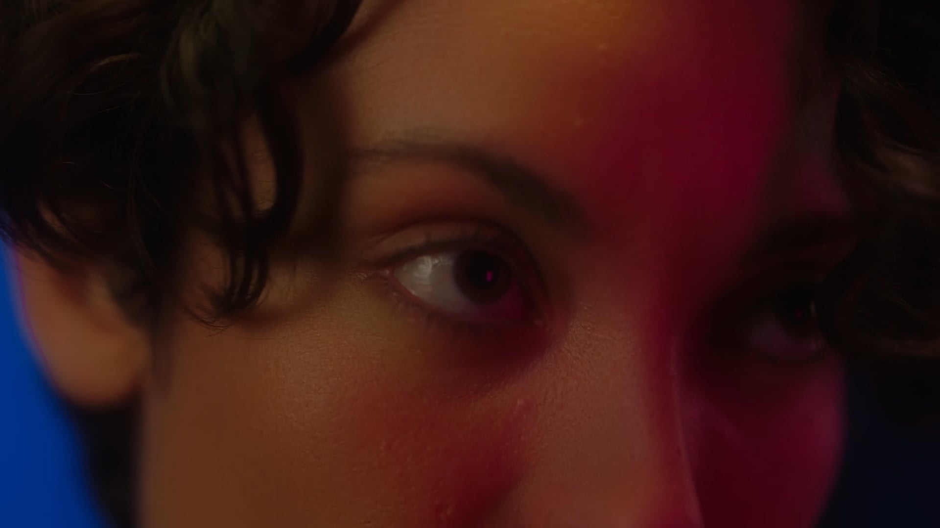 CHECKING_OUT_CLIP05_FIGHT