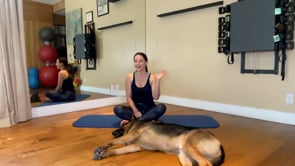 Super Stretch : Hip Opener : Pilates Class with Houdini