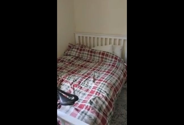 Relaxed, friendly flatshare close to park & tube Main Photo