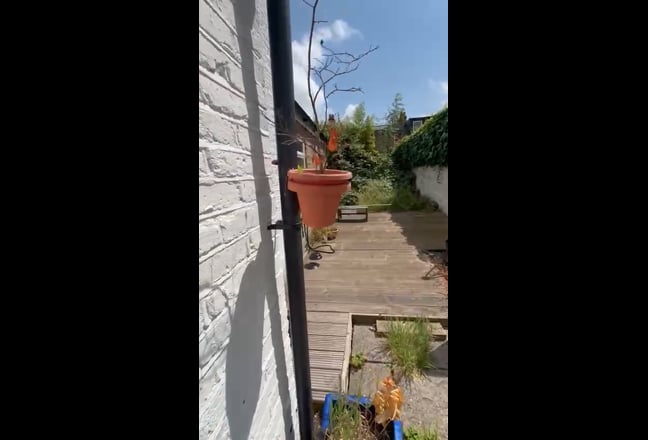 Video 1: Angle 2