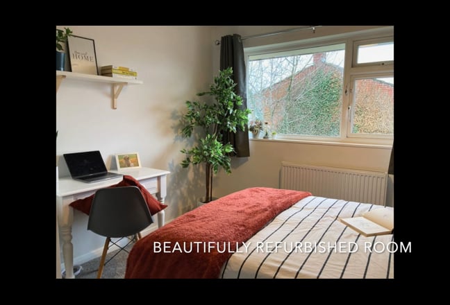 Luxury double in super clean & social house Main Photo