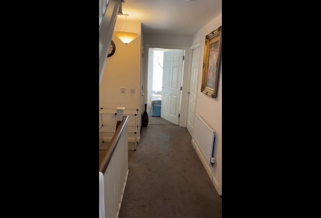 Video 1: