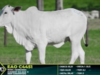 Lote 205