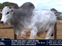 Lote 02