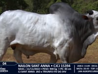 Lote 04