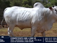 Lote 06