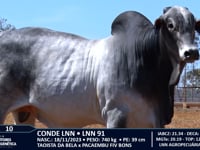 Lote 10