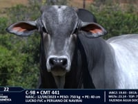 Lote 22