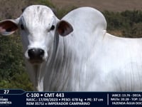 Lote 27