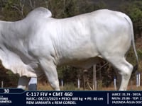 Lote 30