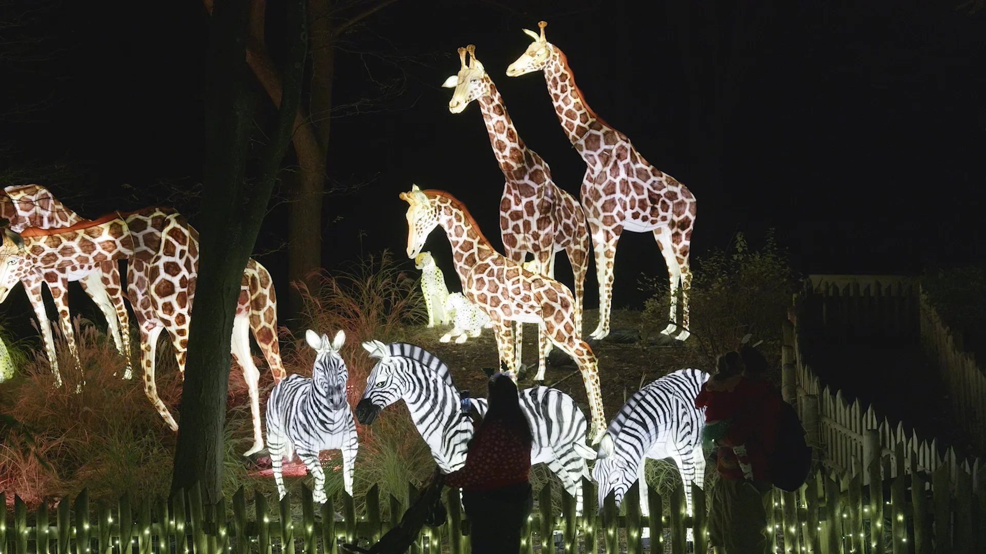 Holiday Lights - Bronx Zoo