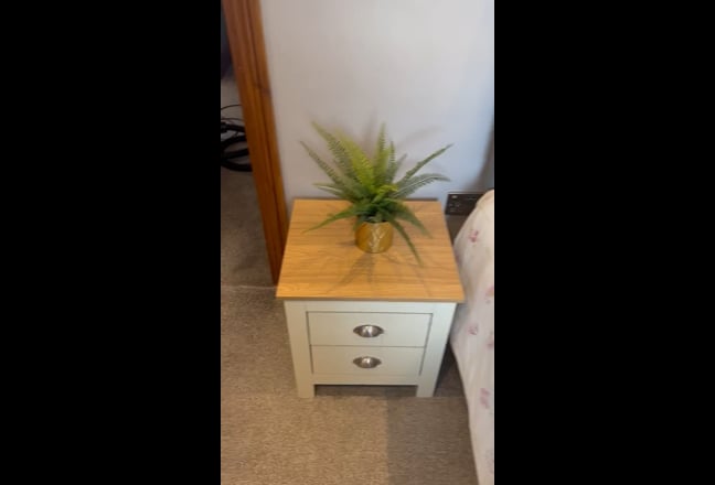 Video 1: