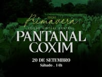 VT Comercial