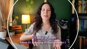 Related Embedded Video Item Thumbnail