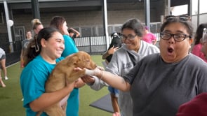 Pet Circle 1st Birthday Bash