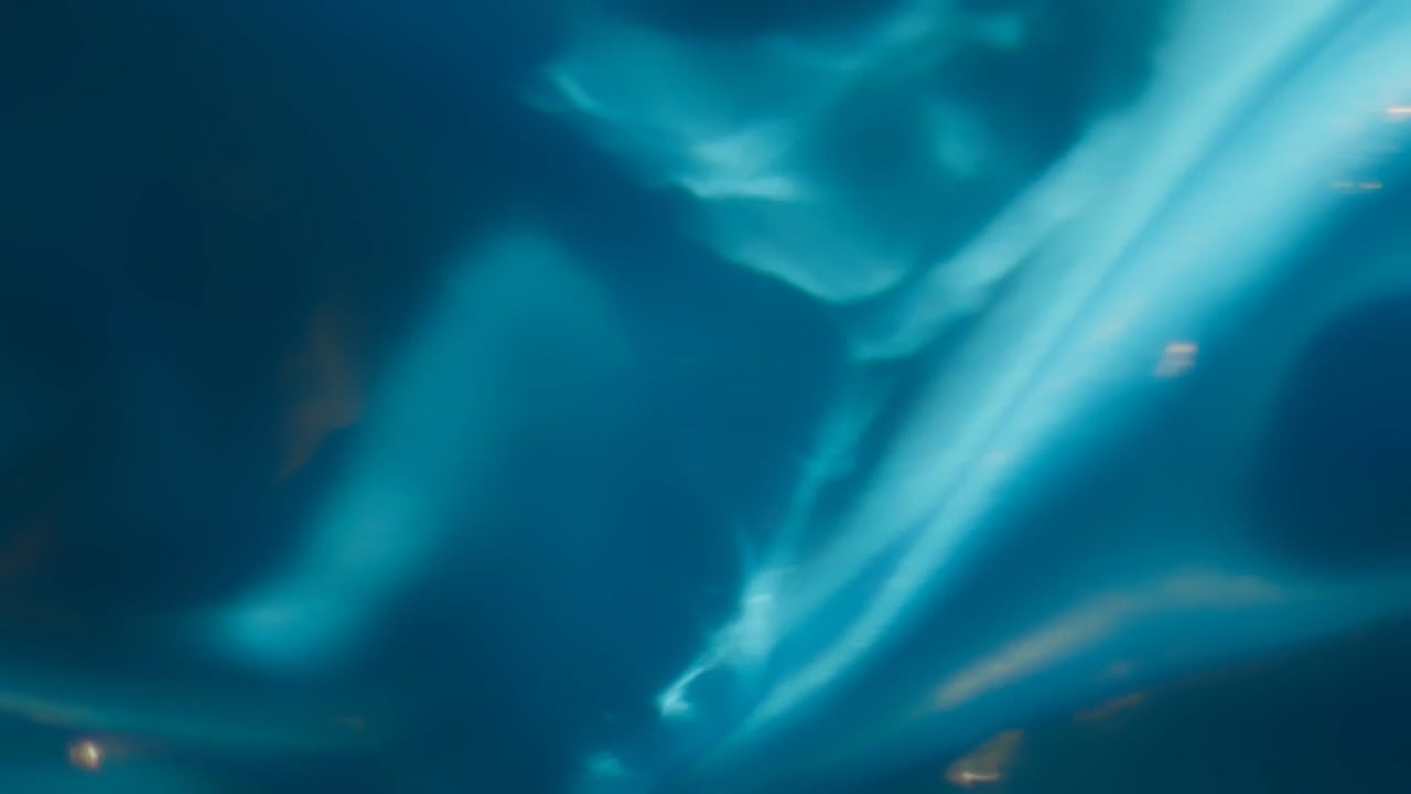 https://i.vimeocdn.com/video/2056676839-44c7835a787f03f9893e6c9230c796b29baaca53122b875f0284a51736e40dbd-d
