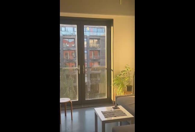 Video 1: