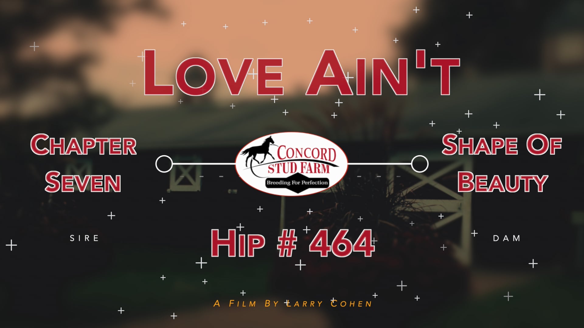 464 | Videos & Movies on Vimeo