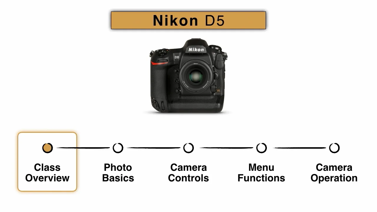 Nikon D5: Fast Start – John Greengo Photography