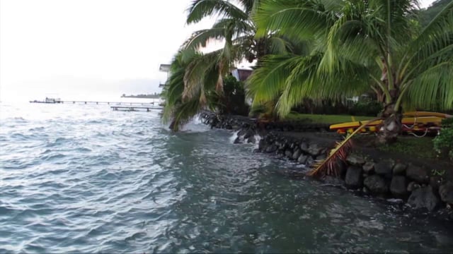 Teahupoo whoa from Turkeymelt