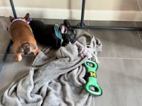 Watch me play!