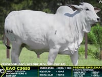 Lote 314