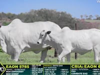 Lote 319