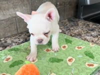 Watch me play!
