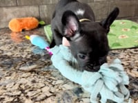 Watch me play!