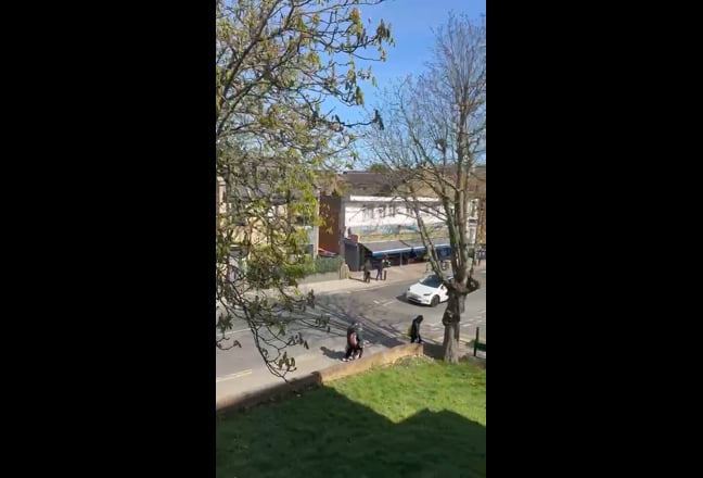 Video 1: