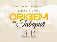 VT COMERCIAL