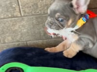 Watch me play!