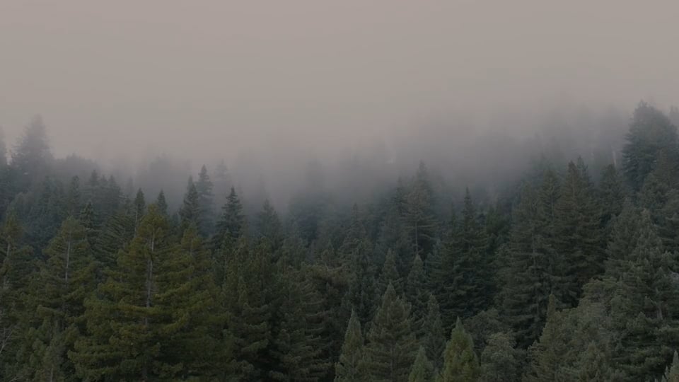 AwaKin I The Sound Of The Genunine