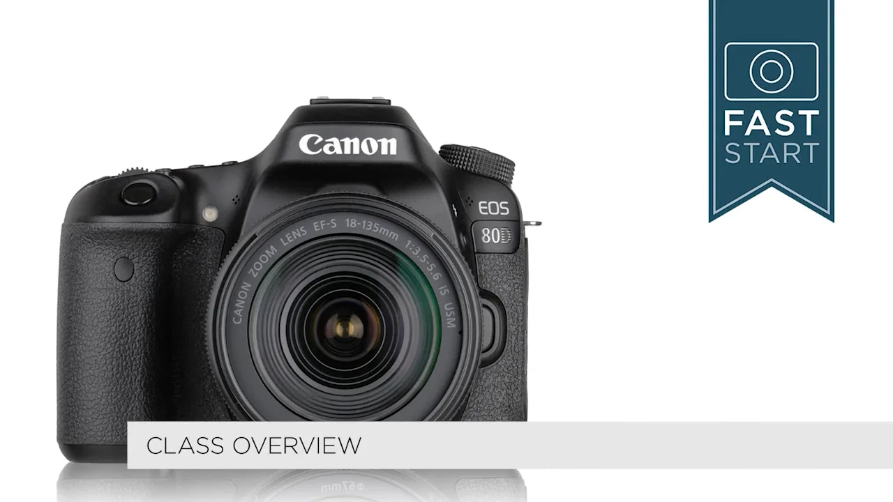 Canon 80D: Fast Start – John Greengo Photography