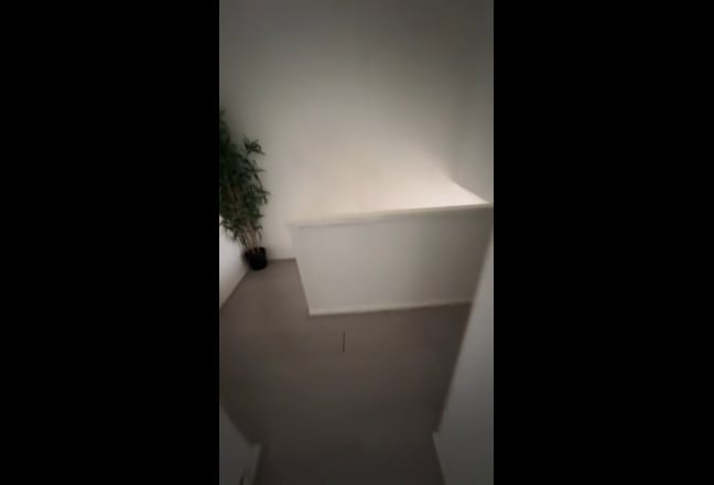 Video 1: