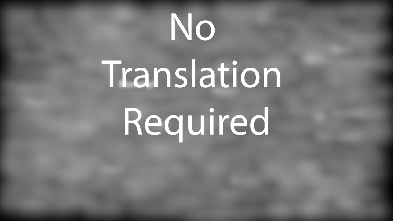 Thousands Of Last Words Are The Same in Palestine, No Translation Required