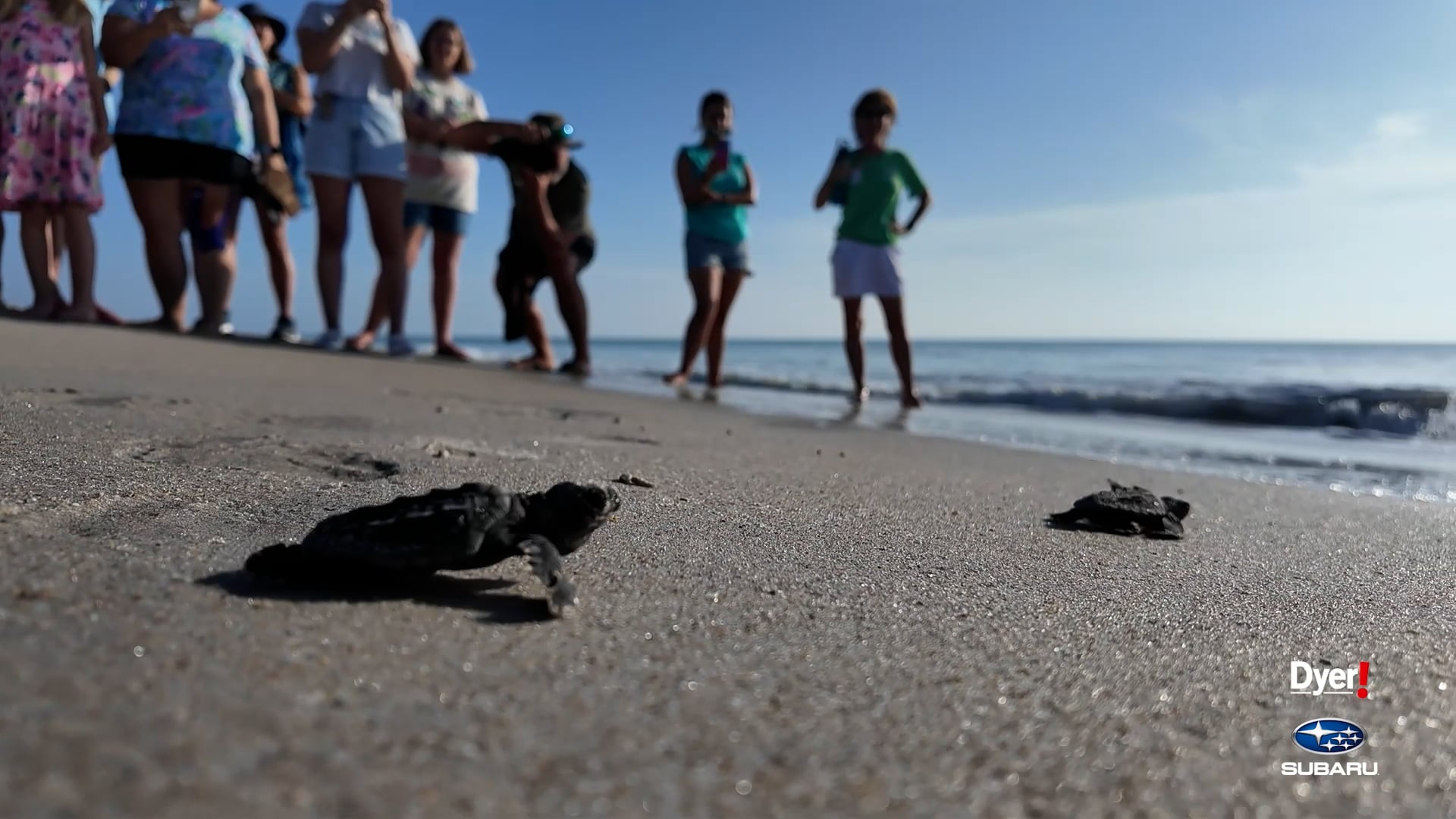 Advent_Dyer_Coastal Connection