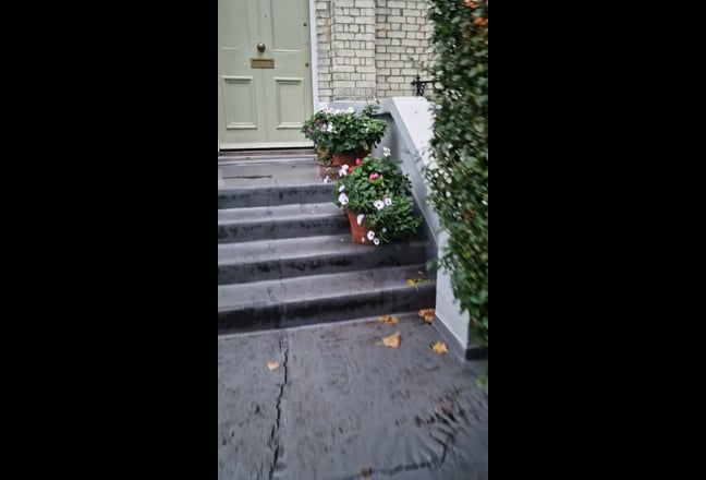 Primrose Hill Flat Main Photo