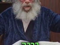 אלול - תעזרו לאבא למצוא את הבנים שלו