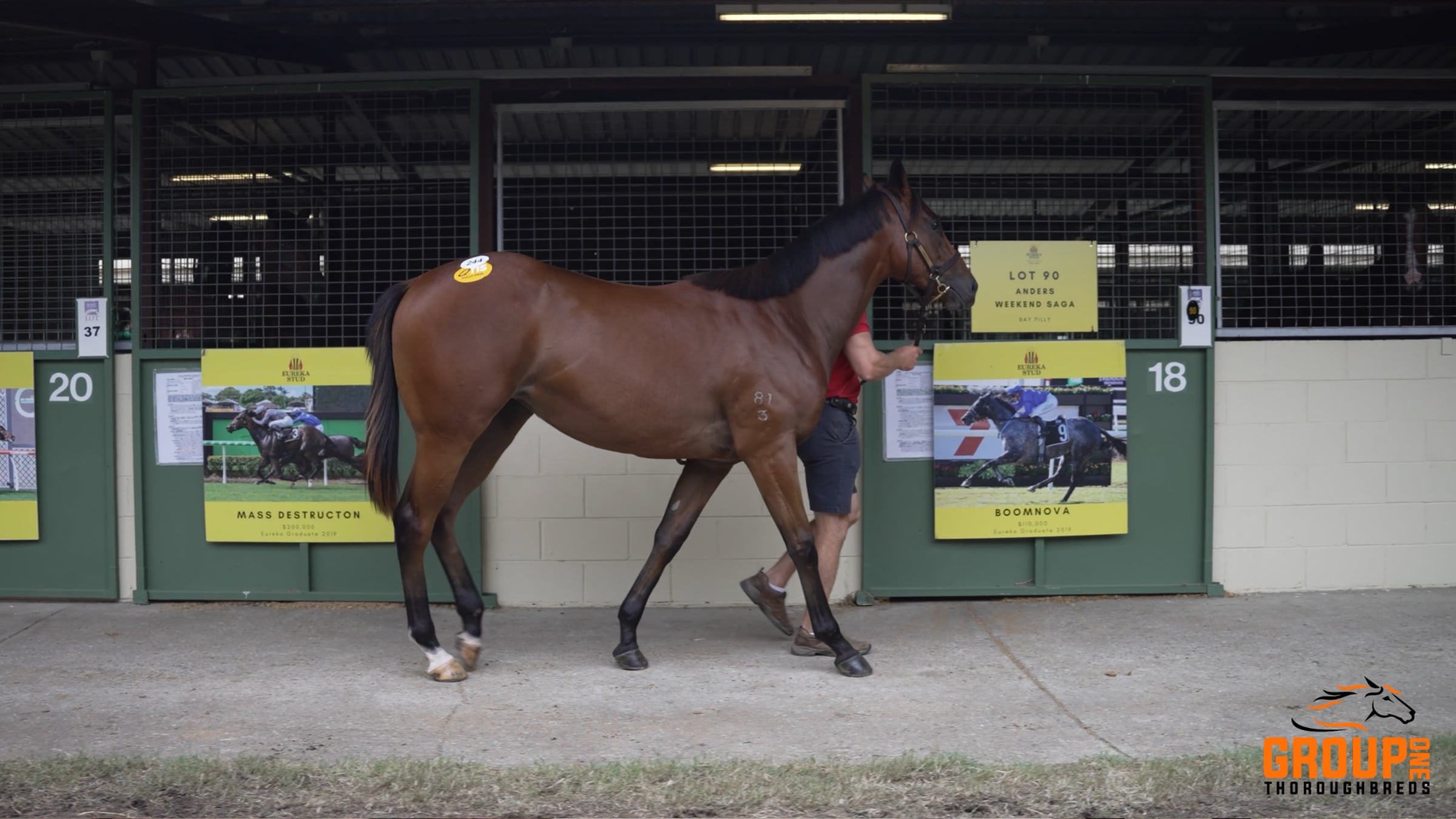 Spirit of Boom x Iltizaam Filly - Munce Racing' Comments | Videos ...