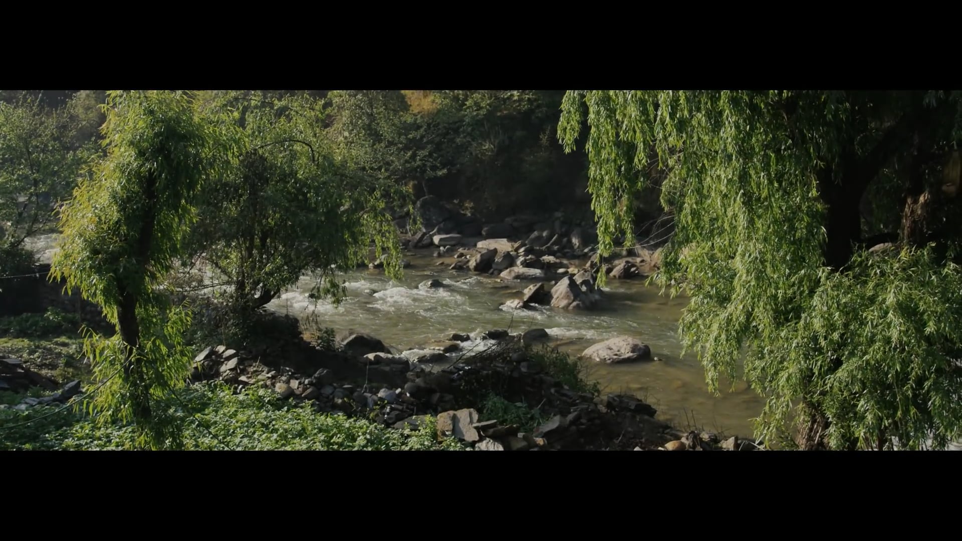 Bob Marley – No Woman, No Cry