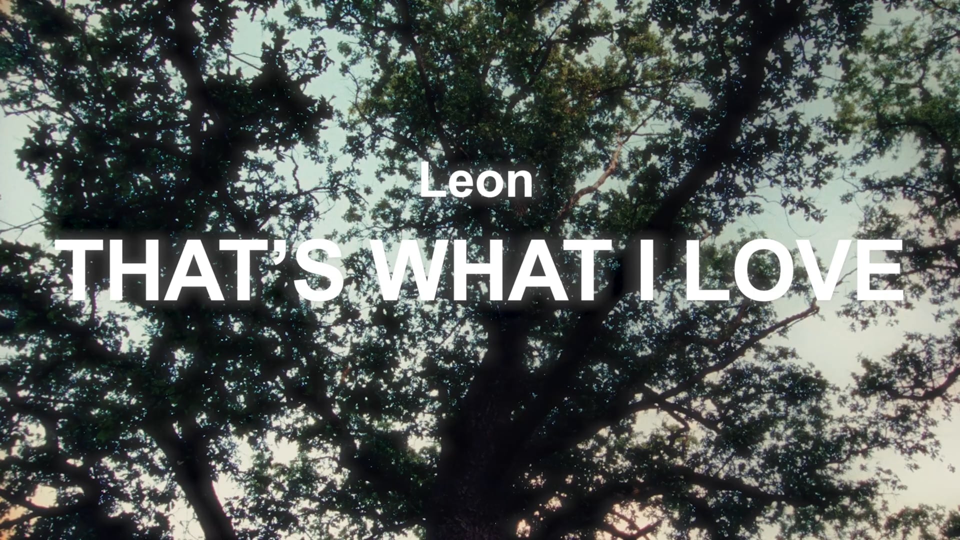 Leon Bridges – That’s What I Love