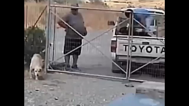 Λήμνος: Εγκατέλειψαν 3 σκυλιά και τα πέταξαν στο Δημοτικό Κυνοκομείο 5-9-2025