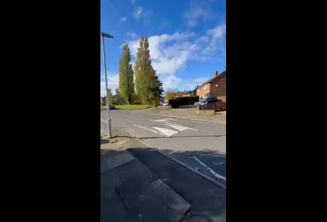 Video 1: